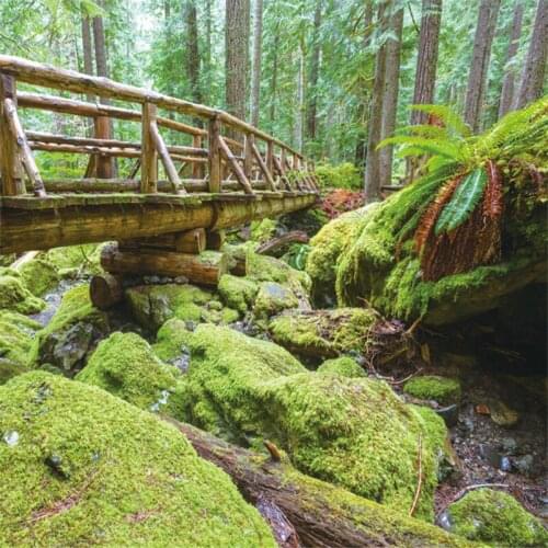 Beibehang forest landscape stereoscopic papel de parede 3d wallpaper living room bedroom TV background wall paper papel mural