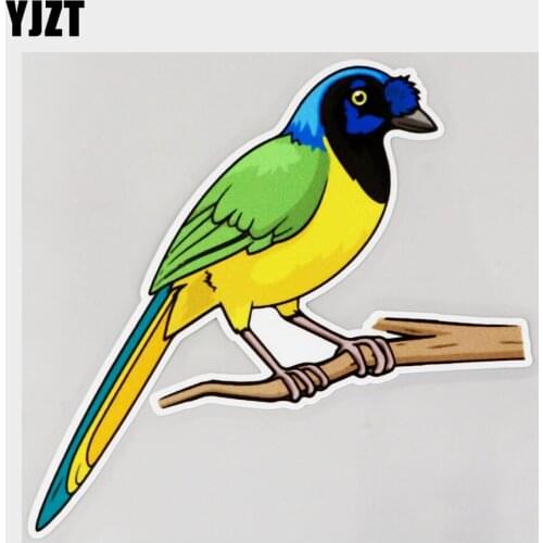 YJZT 13.7CM×12.3CM Cartoon Inca Jay Bird Decal PVC Car Sticker 11C-0445