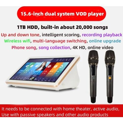 15.6-inch karaoke player with amplifier, Sound mixer, Mixing console,wireless microphone, 1Tb HDD, jukebox portable touch screen