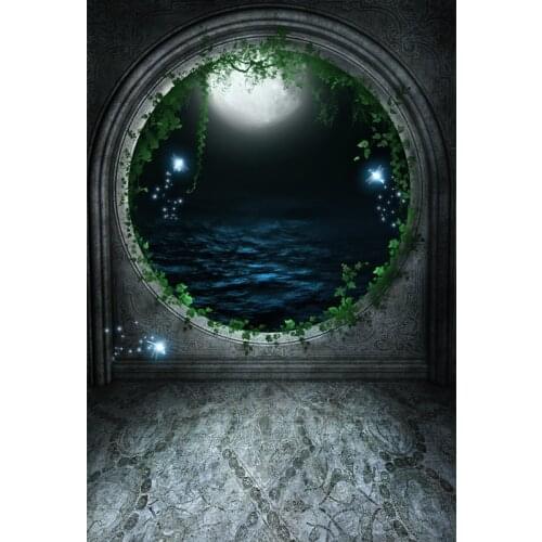 LIFE MAGIC BOX Photography Backdrops Kids Round Door Vinyl Christmas S Photo Studio Background S-2103
