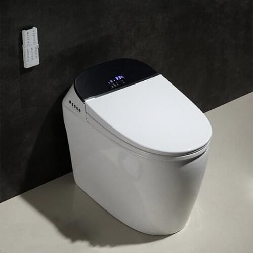 KASG KA933DX Smart Toilet Manual Flip Instant Hot Type without warte Tank One piece Toilet Remote control Smart Toilet