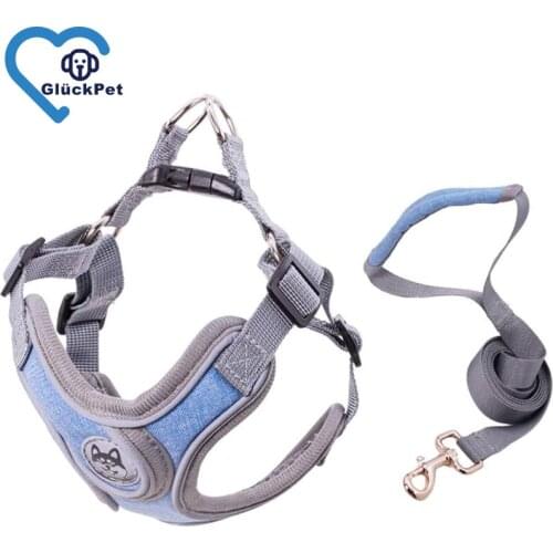 LISM Harnesses