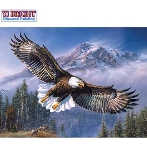 5D Diy diamond painting cross stitch "Sky Fly Eagle" Full Round Diamond embroidery Needlework Rhinestone Mosaic Crafts 1129