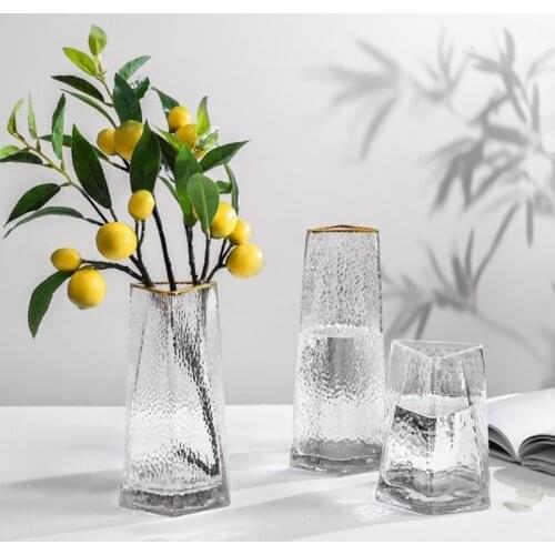 Nordic Wind Light Luxury Glass Vase Creative Simple Transparent Living Room Rich Bamboo Water Flower Arrangement Decorations