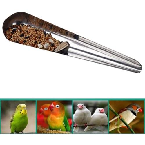 Bird Pointed Seed Dispenser Feeding Spoon Stainless Steel Parrot Feeder Supplies