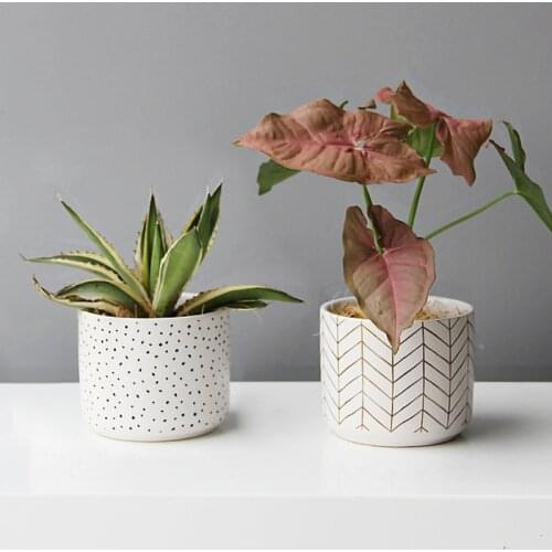 Nordic Porcelain Succulent Flower Pots Home Garden Decoration Planter Simplicity Flowerpots Decoration Ornaments Birthday Gift