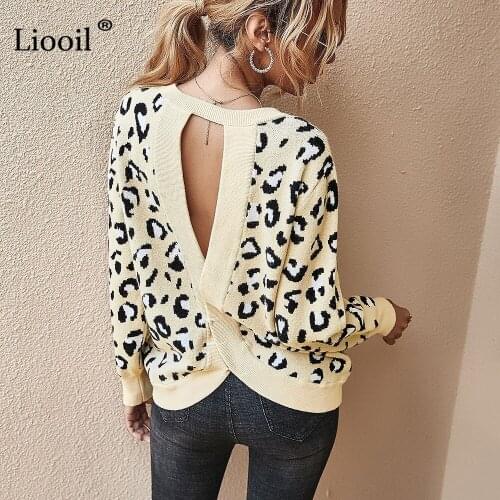 Liooil Leopard Print Knitted Sweater Sexy Top Loose Pullover Women Hollow Out Female Jumper Long Sleeve O Neck Pull Sexy Sweater