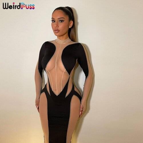 Weird Puss Mesh Patchwork Long Sleeve Dress Sexy Stretch See Through Cleavage Turtleneck Skinny Bodycon Female Party Clubwear