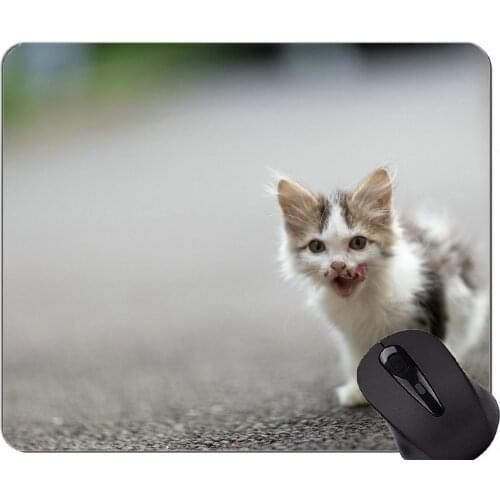 Gaming Mouse Pad Custom,Kitten Pet cat Home Office Computer Accessories Mousepads
