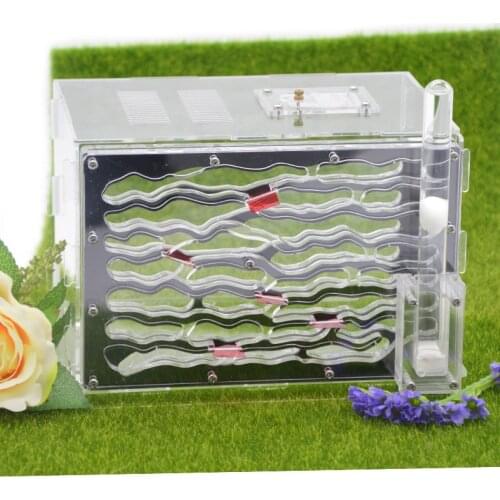 Black Ant Nest Stitching Acrylic Three-dimensional Moisturizing Version of the Ant Farm Layered With Water Tower Anthill Ant