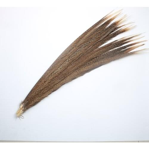 100pcs Lady Amherst Natural Pheasant Feathers For Crafts 24-28inch/60-70cm Carnival Party DIY Decoration Plume