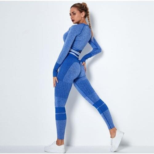 Women Seamless Gym Sets 2 Pcs High Waist Gym Mesh Leggings Shirts Suits Long Sleeve Fitness Workout Sports Running Sports Sets