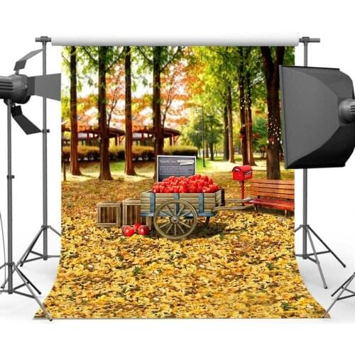 Mehofoto Autumn Park Backdrop for Photographers Maple Leaf Photo Background for Photography Studio S-1780