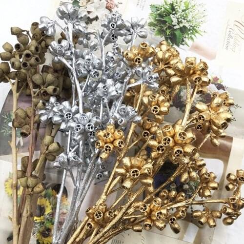 Eternal Flower Eucalyptus Fruit Zombie Fruit Dried Fruit Material DIY Valentines Day Glass Cover Gift Box Accessories