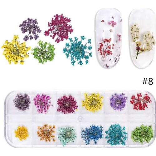 12 Grids/Box Natural Dry Flower Nail Art 12Color Charm Dried Real Flora Flowers UV-Gel Polish False Nail Decoration Dried Flower