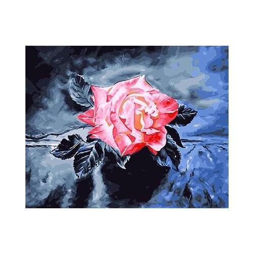 DRAWJOY Painting Flowers By Numbers