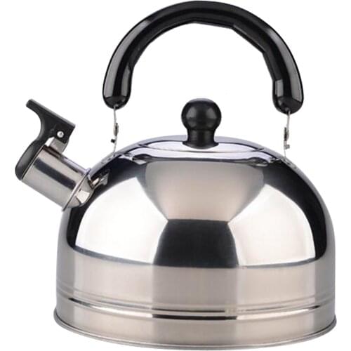 2.5L Stainless Steel Teapot with Lid, Tea Kettle for Home, Party, Kitchen, Camping, Picnic, Travel - Silver/Green to Choose