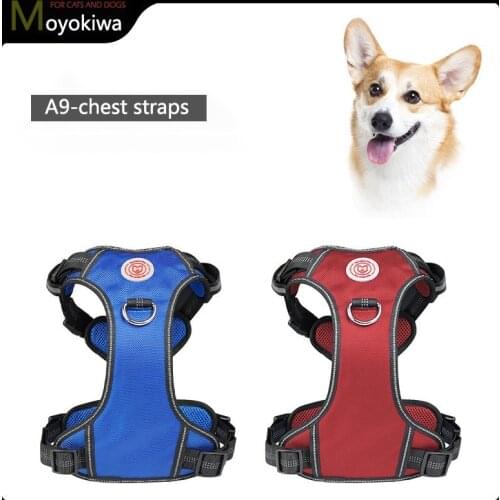 Moyokiwa Harnesses