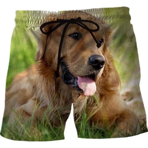 Fashion Animal Dog Harajuku Casual Shorts Fun 3D Printed Beach Shorts Unisex Casual Sports Shorts