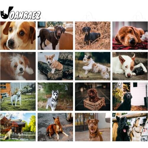 Modern Pet Dog Diamond Painting 5D Diy Wall Art Running Dog Diamond Inlaid Home Room Decoration Accessories