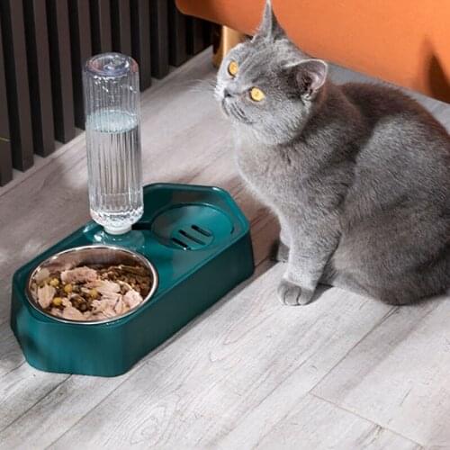 2 in 1 Cat Bowl Automatic Water Dispenser Pet Feeder Bowl for Cat Dog Food Drinking with Raised Stand Container Cats Accessories
