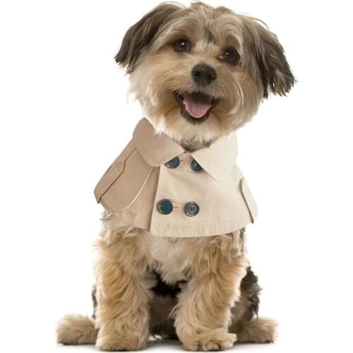 Teddy Bichon Corgi French Fighting British Style Bandage Selling Cute Saliva Towel Dog Bib Dog Windbreaker Cloak