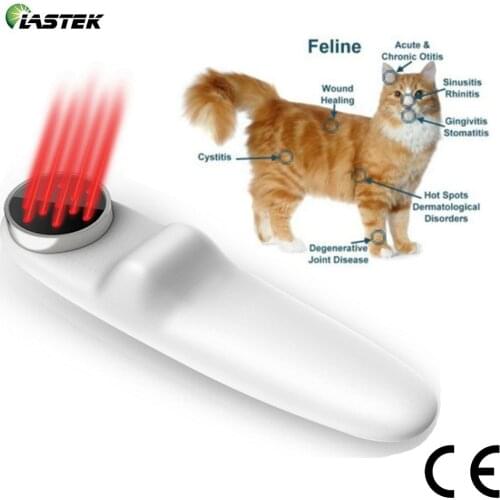 Veterinary Vet Clinic Animal Hospital Use Cold Laser Therapy for Cats Dogs Horses Chronic Pain & Inflammation,Arthritis