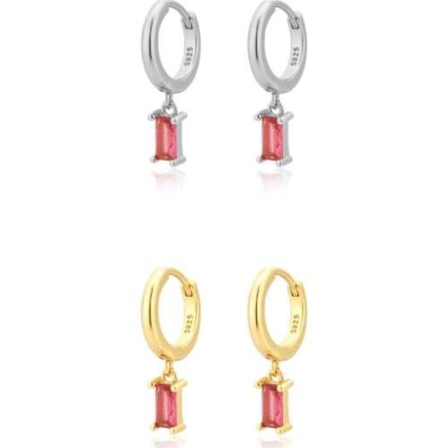 Silver Gold Color Rose Red Drop Earring Piercing Zircon Crystal Luxury Fashion Fine Jewelry Rock Punk Party Oorbellen Wholesale