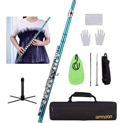 Ammoon Closed Hole C Flute 16 Keys Cupronickel Nickel-plated Wind Instrument with Carry Case Flute Stand Gloves Cleaning Cloth