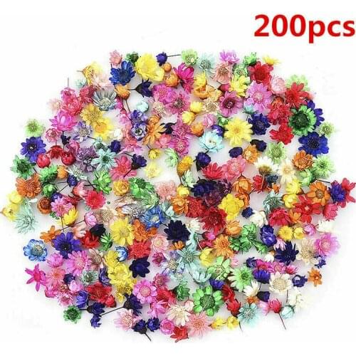 200pcs Assortment Natural Flowers Different Sizes And Shapes Multi Color For Handmade Bookmarks Gift Packaging Materials
