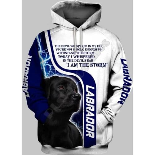 Labrador 3D Printed Hoodies Funny Pullover Men For Women Funny Sweatshirts Animal Sweater Drop Shipping 04