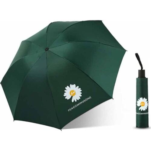 Folding Sun Rain Umbrella Little daisies flowers Umbrella For Women Folding Princess Umbrellas Waterproof Anti-UV Umbrella
