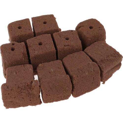 10pcs Grow Plug Soilless Cultivation Rose Plants Cuttings, Clones, Nursery Substrate Blocks Flower Mud Grow Starter Cubes