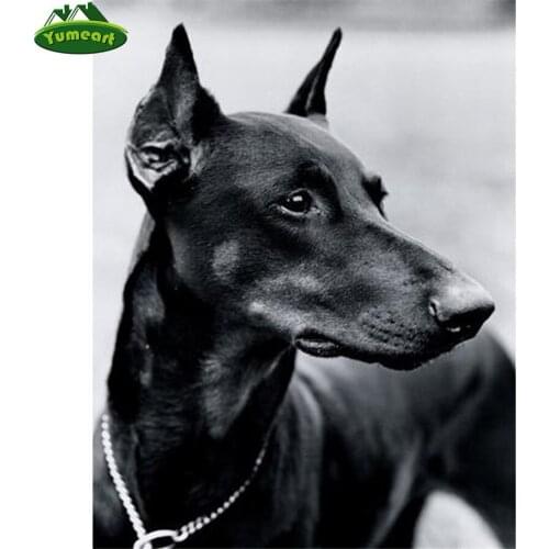 Diamond Mosaic Pet Dog DIY 5D Diamond Painting Doberman Pinscher Pattern Cross Stitch Full Square Diamond Picture of Rhinestones