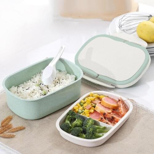 Double Layer Wheat Straw Large Capacity Bento Lunch Box Food Storage Container