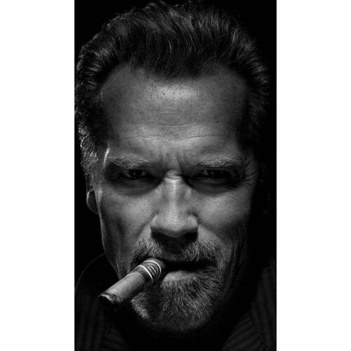 Lot style Choose Arnold Schwarzenegger Smoke Cigar Movie Star Actor Art print Silk poster Home Wall Decor