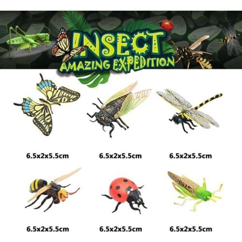 6Pcs Simulation Animal Model Child PVC Mini Animal Insect Dragonfly Bee Snails Growth Cycle Action Figures Doll Toy for Kid Gift
