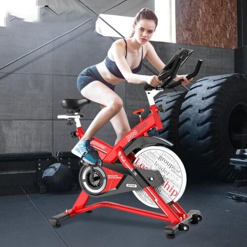 Spinning Bicycle Home indoor Weight Loss Machine Bicycle Fitness Equipment Mute Sports Bicycle Exercise Bike