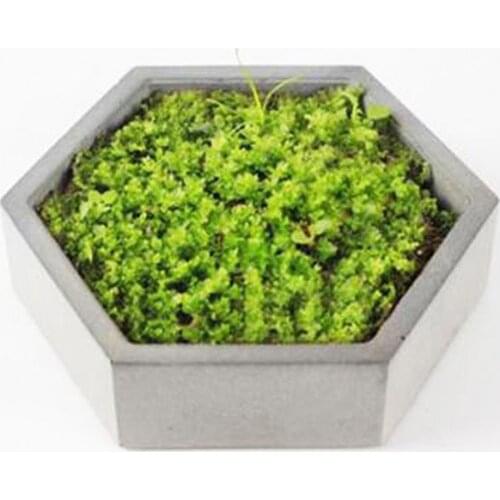 Moss Cement Container Mould DIY Hexagonal Concrete Flower Pot Silicone Molds Home Storage Tray Concrete Mould
