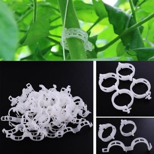 50pcs Reusable Plastic Plant Supp Vine Clip Home Garden Vegetable Flower Plant Growth Fixing Clip Gardening tools