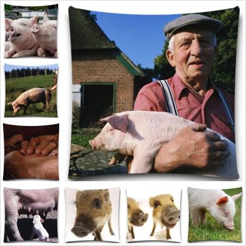 Farm pig 2D print creative Pillow case Square cotton polyester cushion cover 5 size 9 style