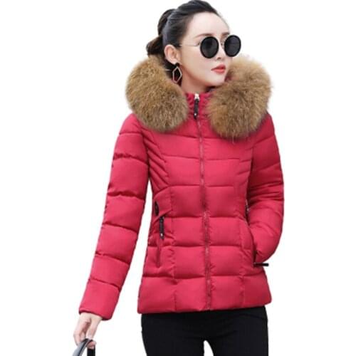 Winter Parkas New Fashion Fur Collar Hooded Outerwear Short Down Cotton Jacket Slim Large Size Warm Winter Jackets Coats Female