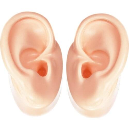 1Pair Silicone Ear Model Ear Display for Hearing Aids IEM Exhibition (1 left ear + 1 right ear)