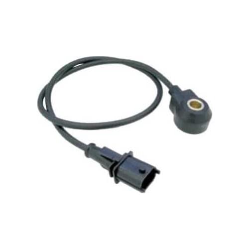 10pcs Knock Sensor For Fiat Brava Coupe Marea Stilo Lancia OEM 0261231144 46525288 AK51648