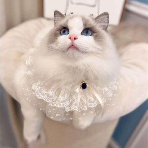 Pet Dogs Fashion White Print Lace Collars For Small Large Dogs Bow-knot Bibs Necklace Dog Cats Supplies Jewelry Accessories