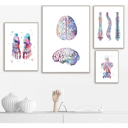 Anatomy Skeleton Feet Bones Clinic Wall Art Canvas Painting Print Nordic Posters and Prints Wall Pictures Doctors Office Decor