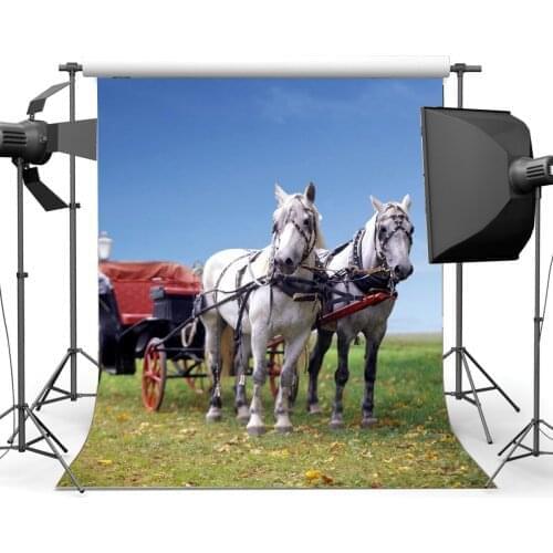 Sightseeing Carriage Backdrop Rustic Farmland Backdrops Falling Golden Leaves Green Grass Meadow Nature Autumn Background