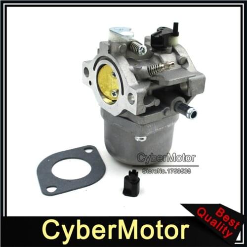 Carburetor For Briggs & Stratton 799728 Replace Carb 498231 499161 498027 498027 495706 494502 494392 498134 499161
