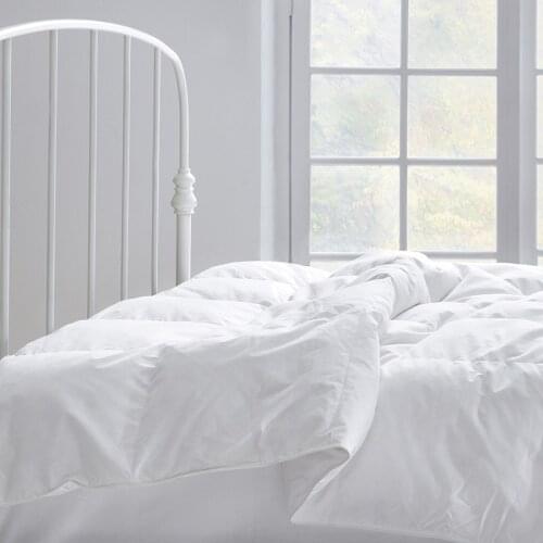 Quilt Goose Down 30% Goose Down Single/Double/Queen/King Size Quilt 300gr