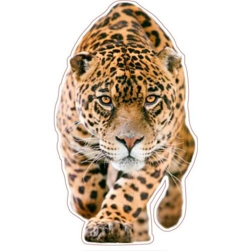 Dawasaru Walking Leopard Car Sticker Personalized Sunscreen Decal Laptop Motorcycle Auto Accessories Decoration PVC,22cm*12cm